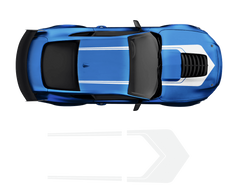 Ford Mustang Roof & Hood 2 Color Graphic