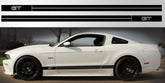 Mustang GT Double Stripe Vinyl Decal