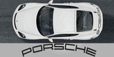 Porsche 718 GT4 Wing Decal