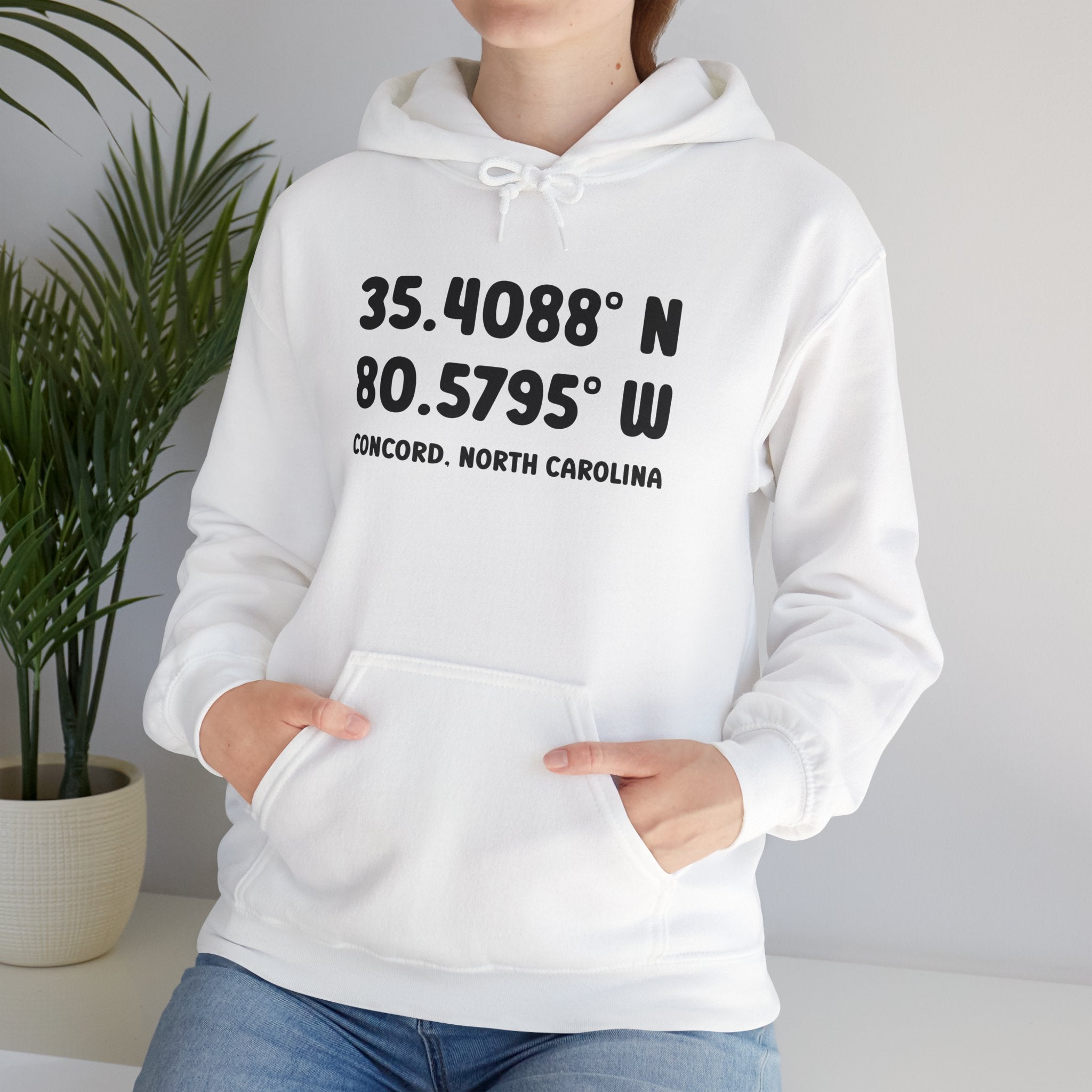 Concord North Carolina NC Coordinance Hoodie