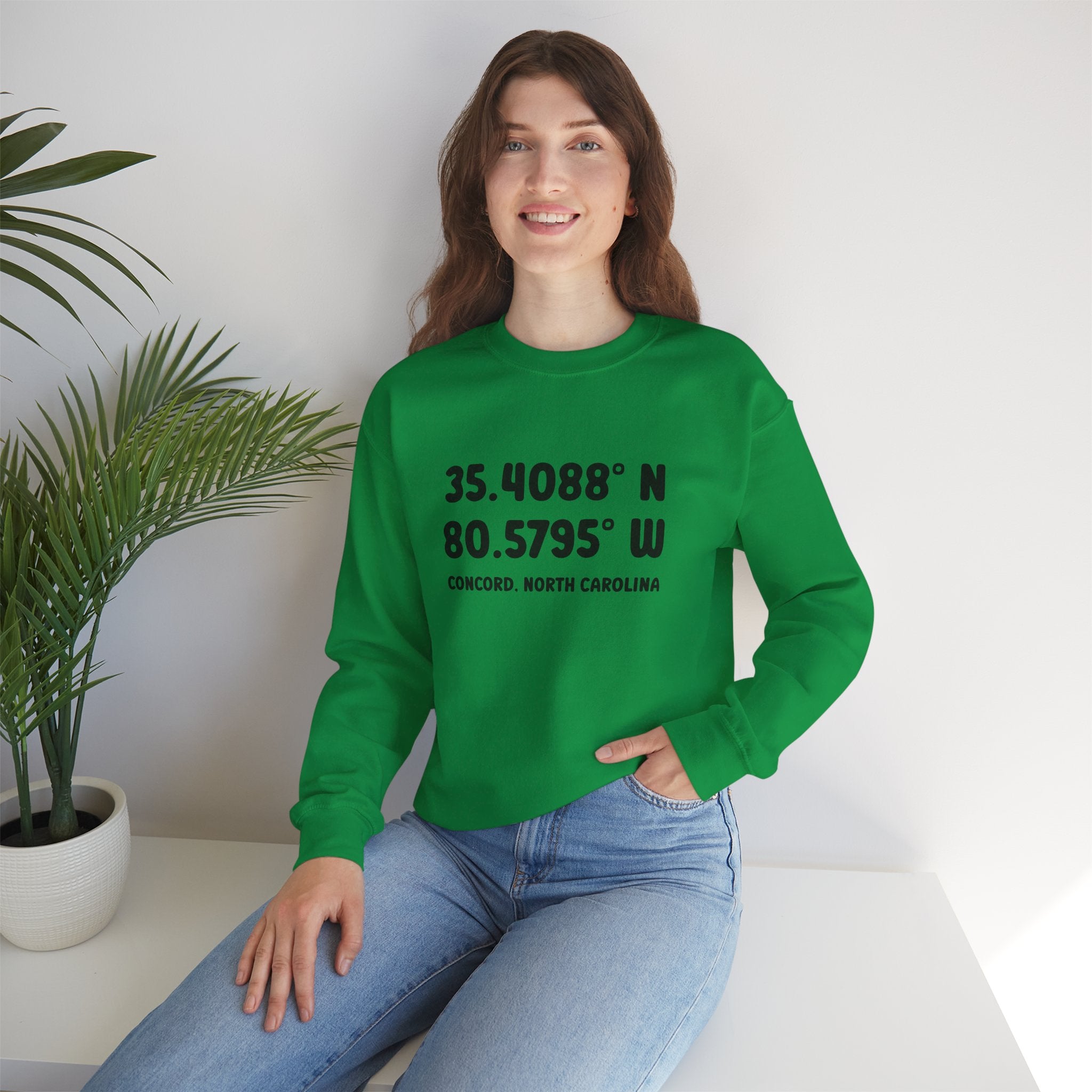 Concord North Carolina NC Coordinance Crewneck Sweatshirt