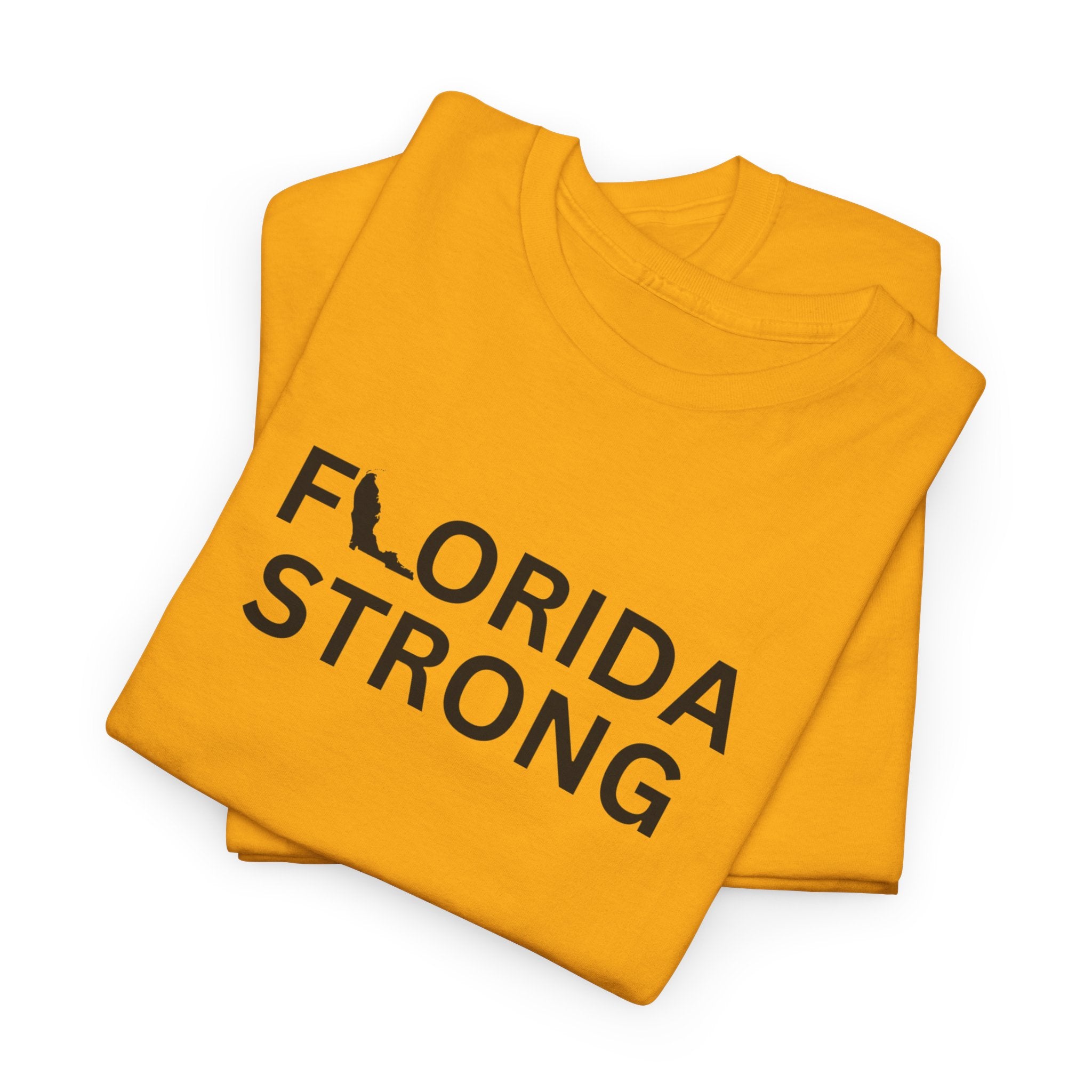 Florida Strong Hurricane Milton Unisex Adult T-Shirt – Support FL Resilience