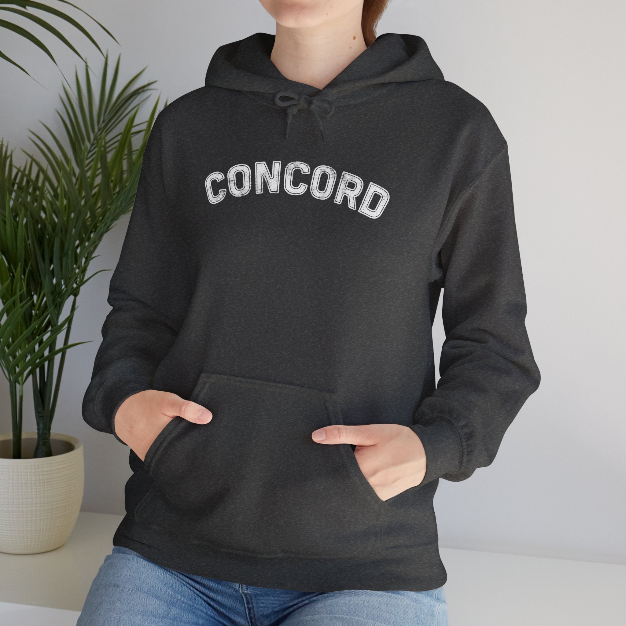 Concord North Carolina NC Curved Font Hoodie