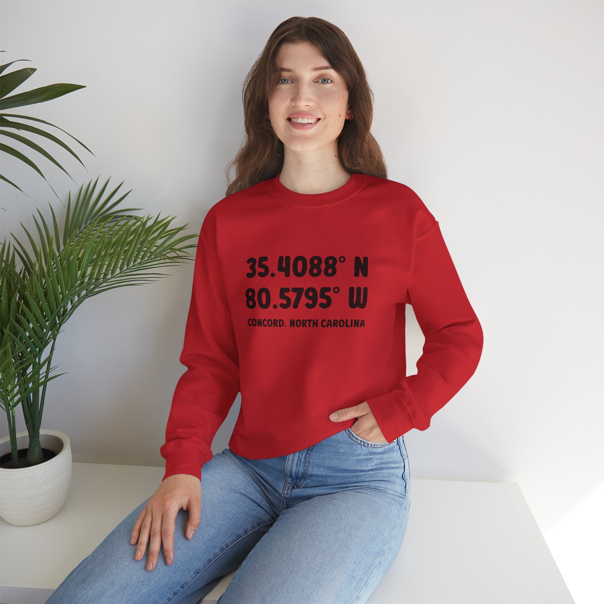 Concord North Carolina NC Coordinance Crewneck Sweatshirt