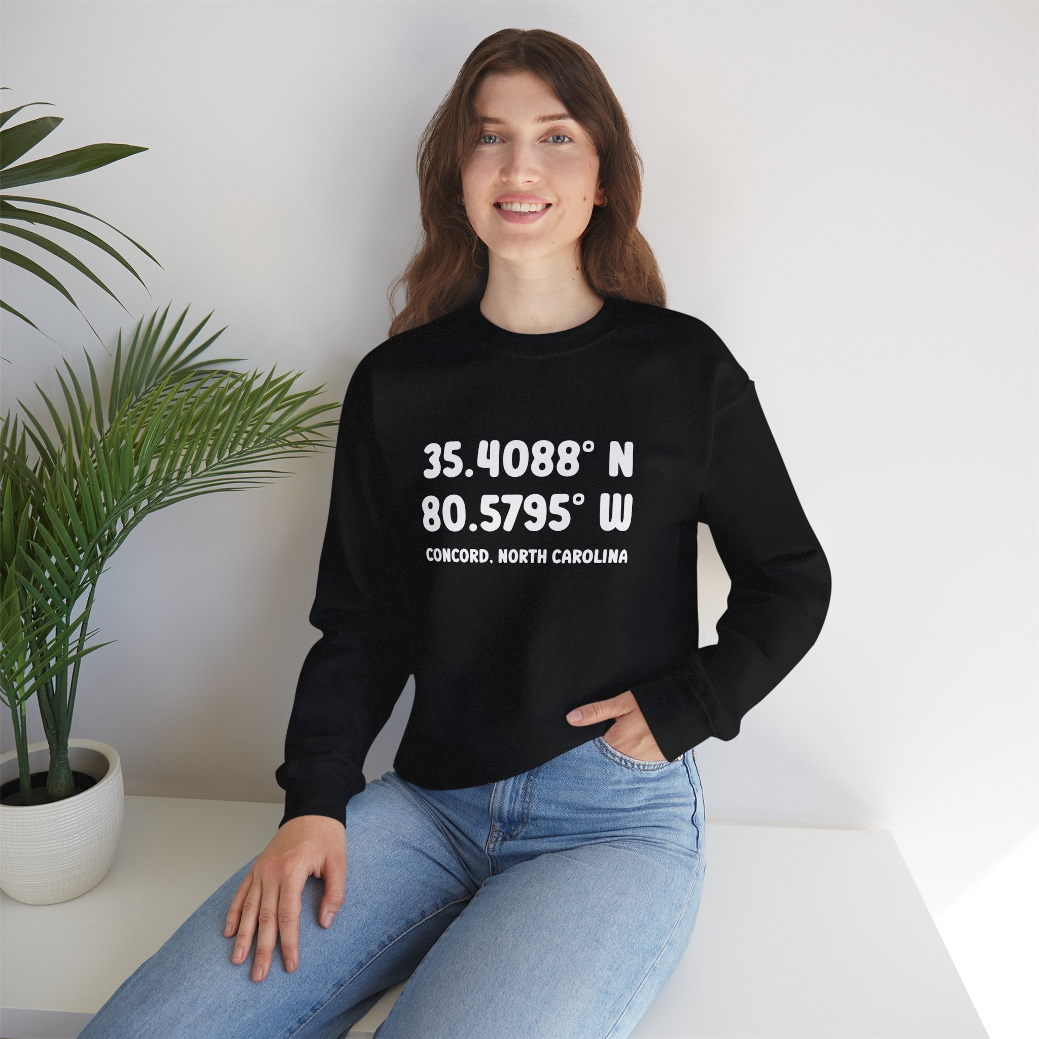 Concord North Carolina NC Coordinance Crewneck Sweatshirt