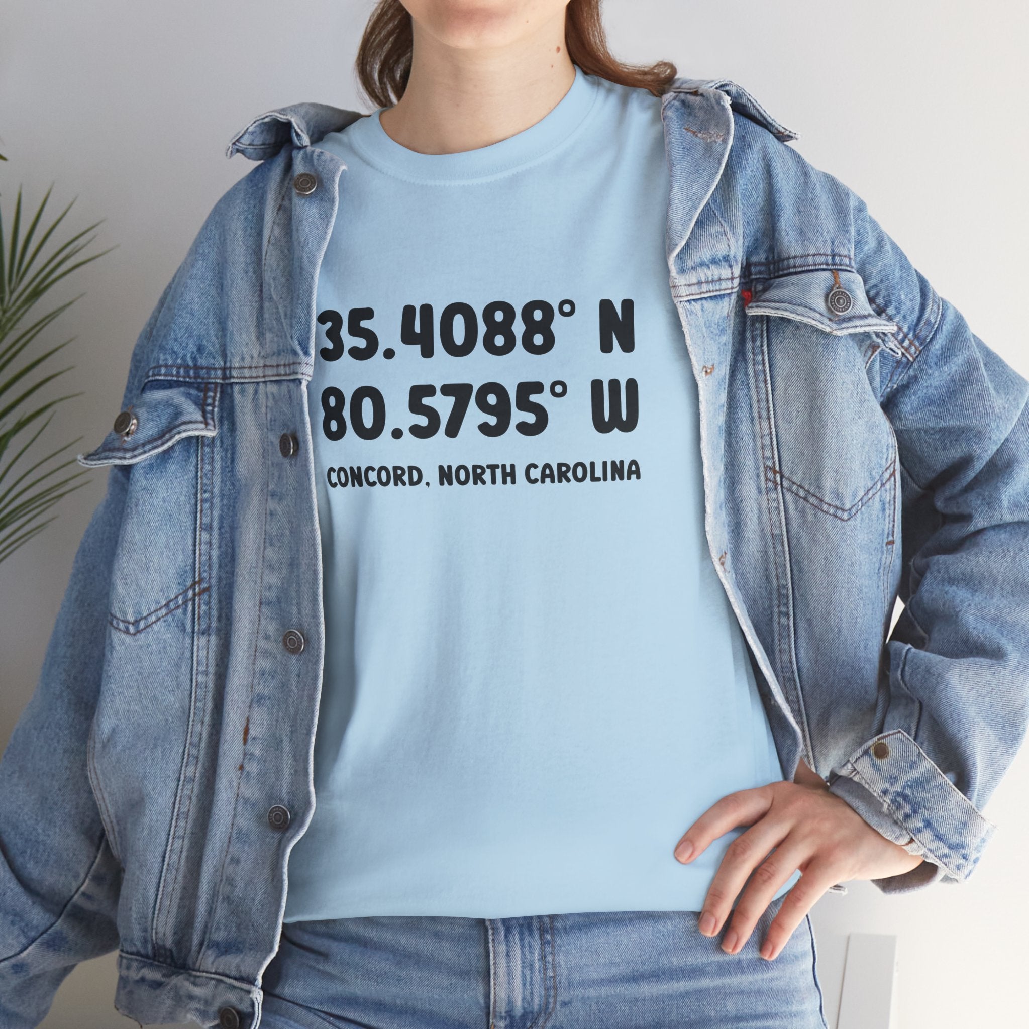 Concord North Carolina NC Coordinance Unisex T-Shirt