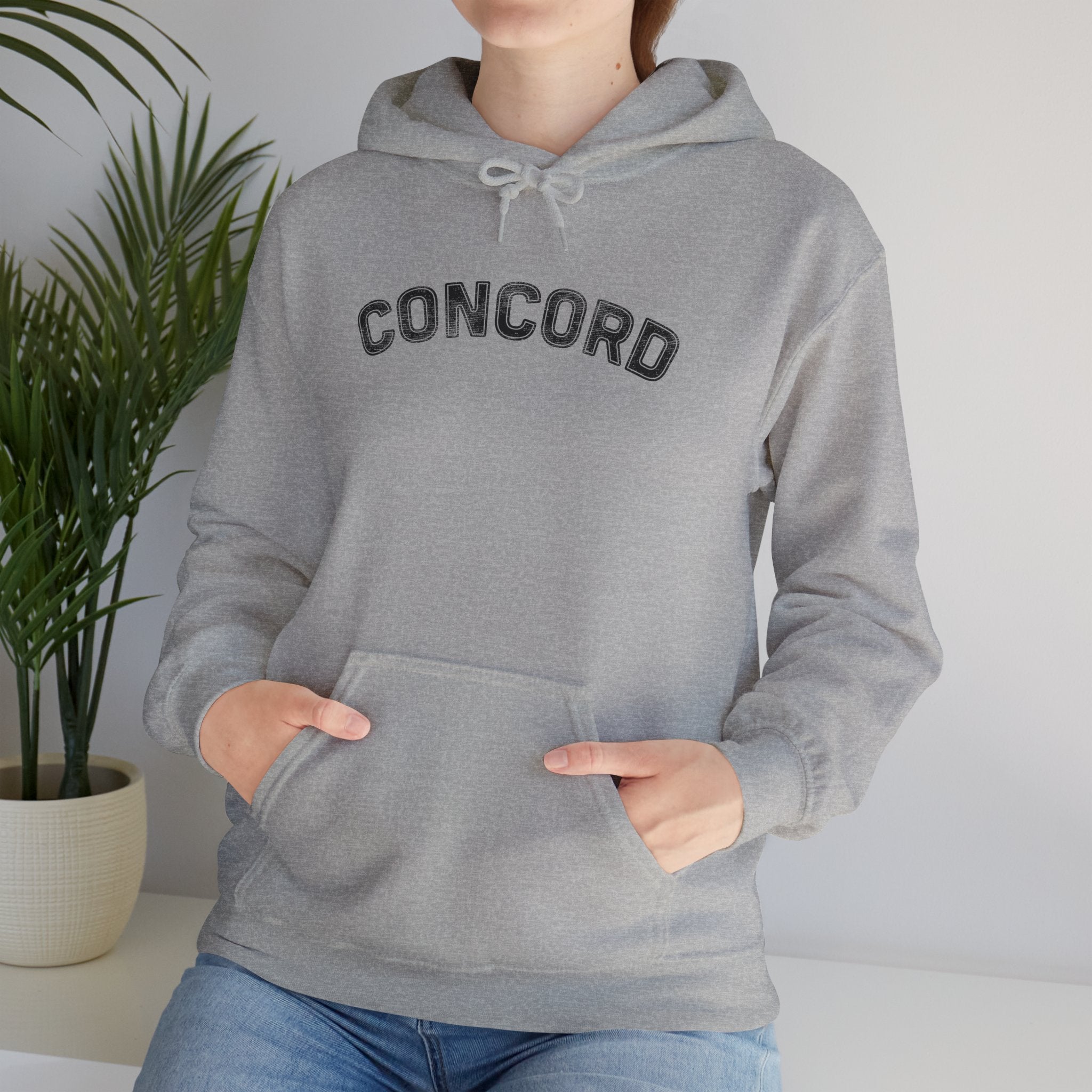 Concord North Carolina NC Curved Font Hoodie