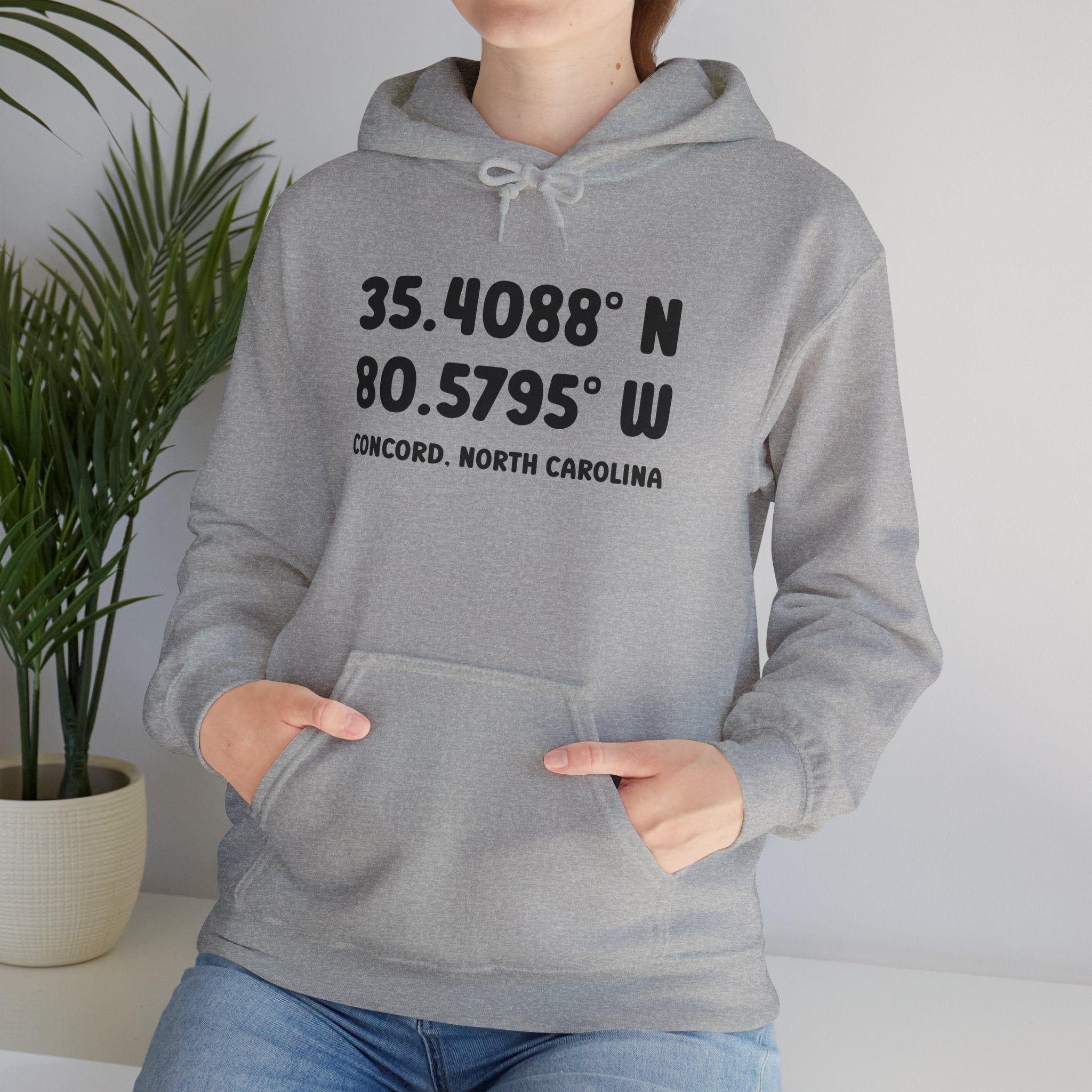 Concord North Carolina NC Coordinance Hoodie