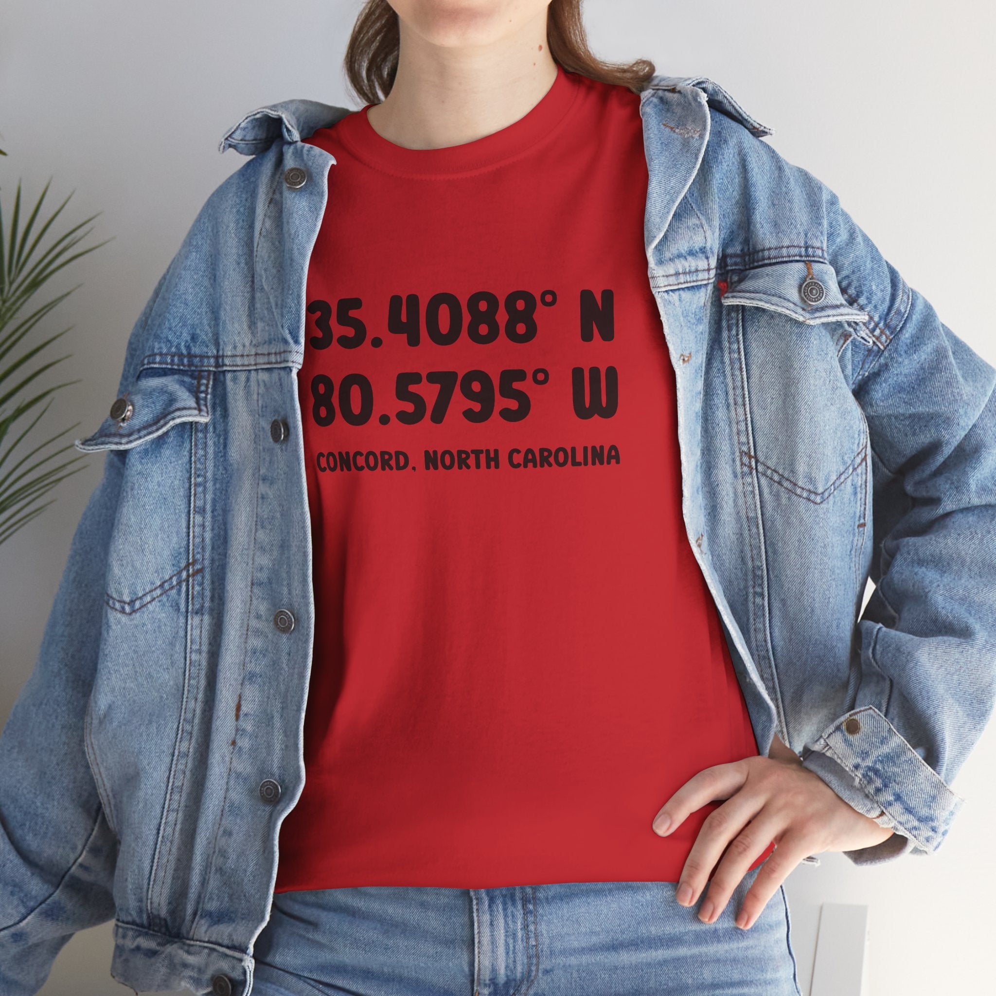 Concord North Carolina NC Coordinance Unisex T-Shirt