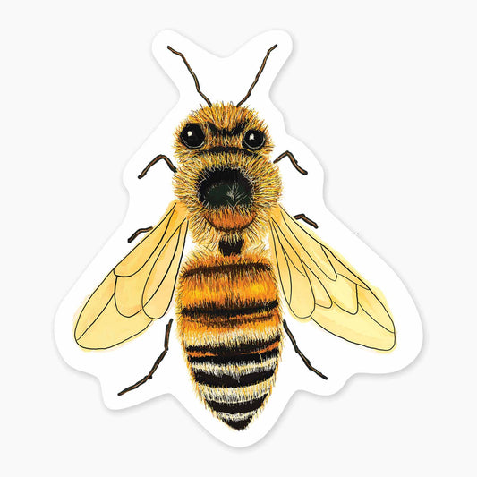 Bee - 3" Art Sticker - sticker, laptop decor, durable