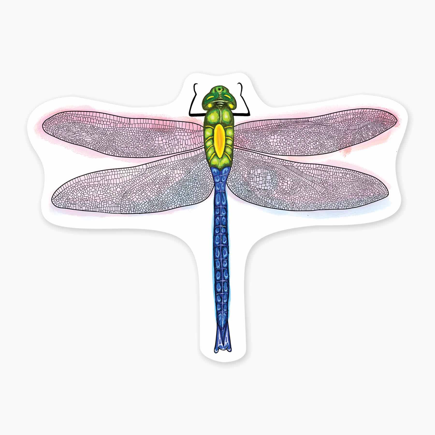 Dragonfly - 3