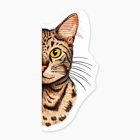 Pitten the Cat - 3" Art Sticker - sticker, laptop decor, durable