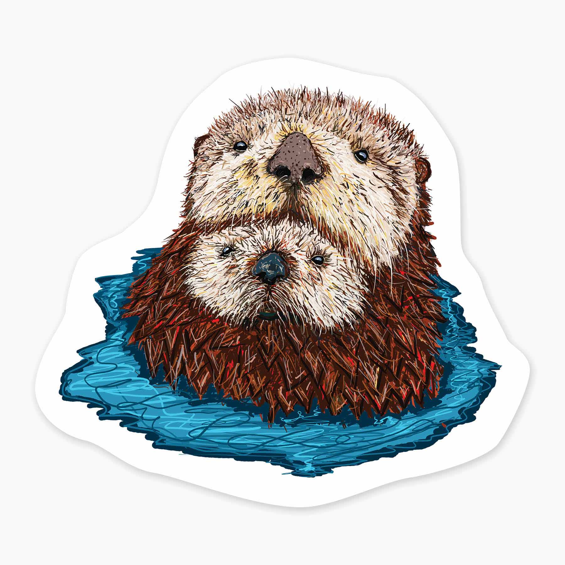 Sea Otter 3