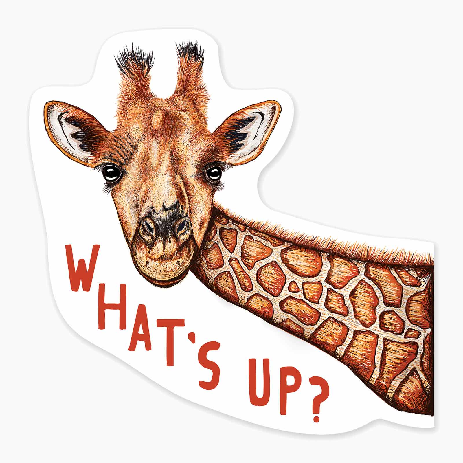 What's Up Giraffe - 3