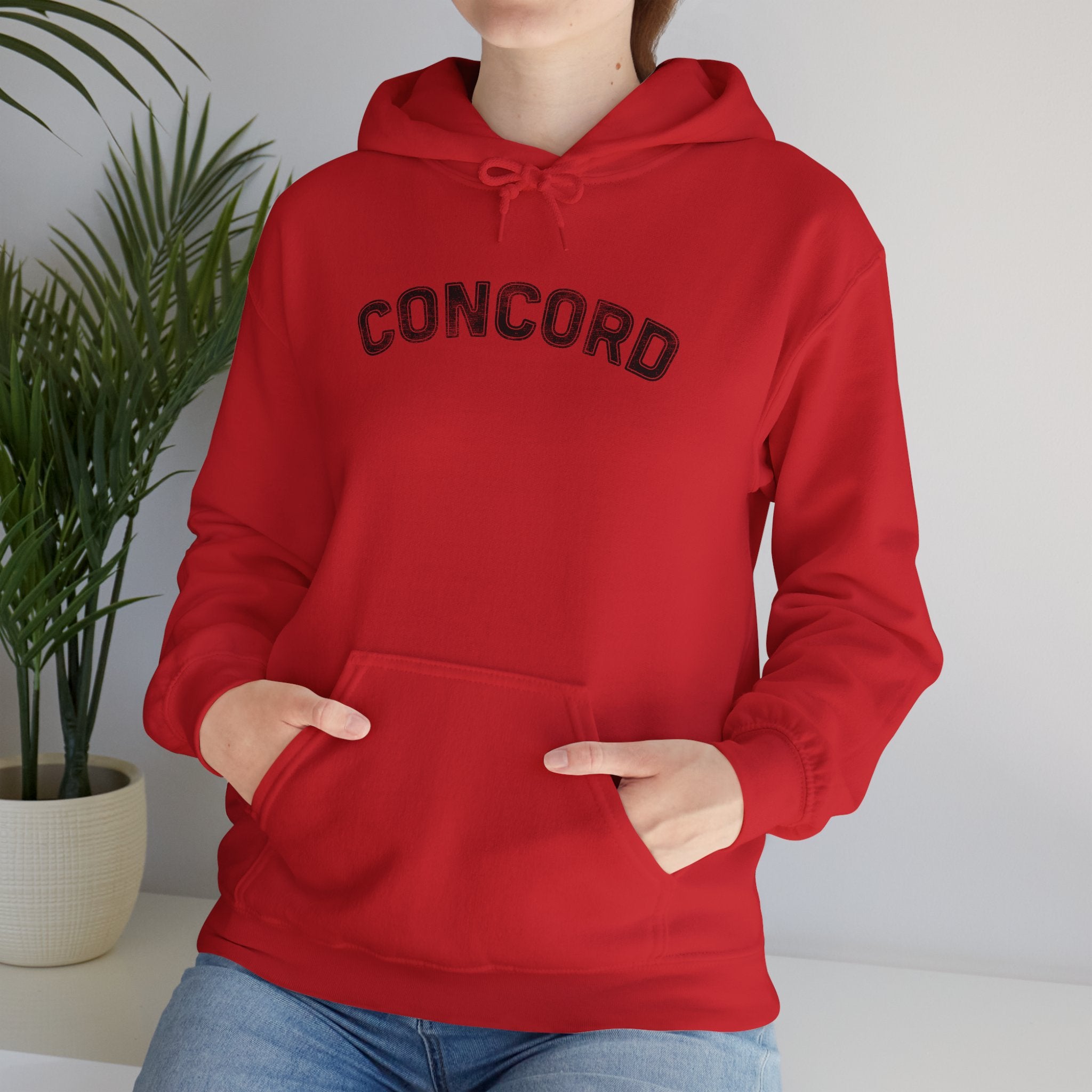 Concord North Carolina NC Curved Font Hoodie