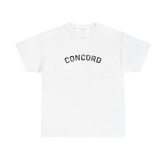 Concord North Carolina NC Curved Unisex T-Shirt