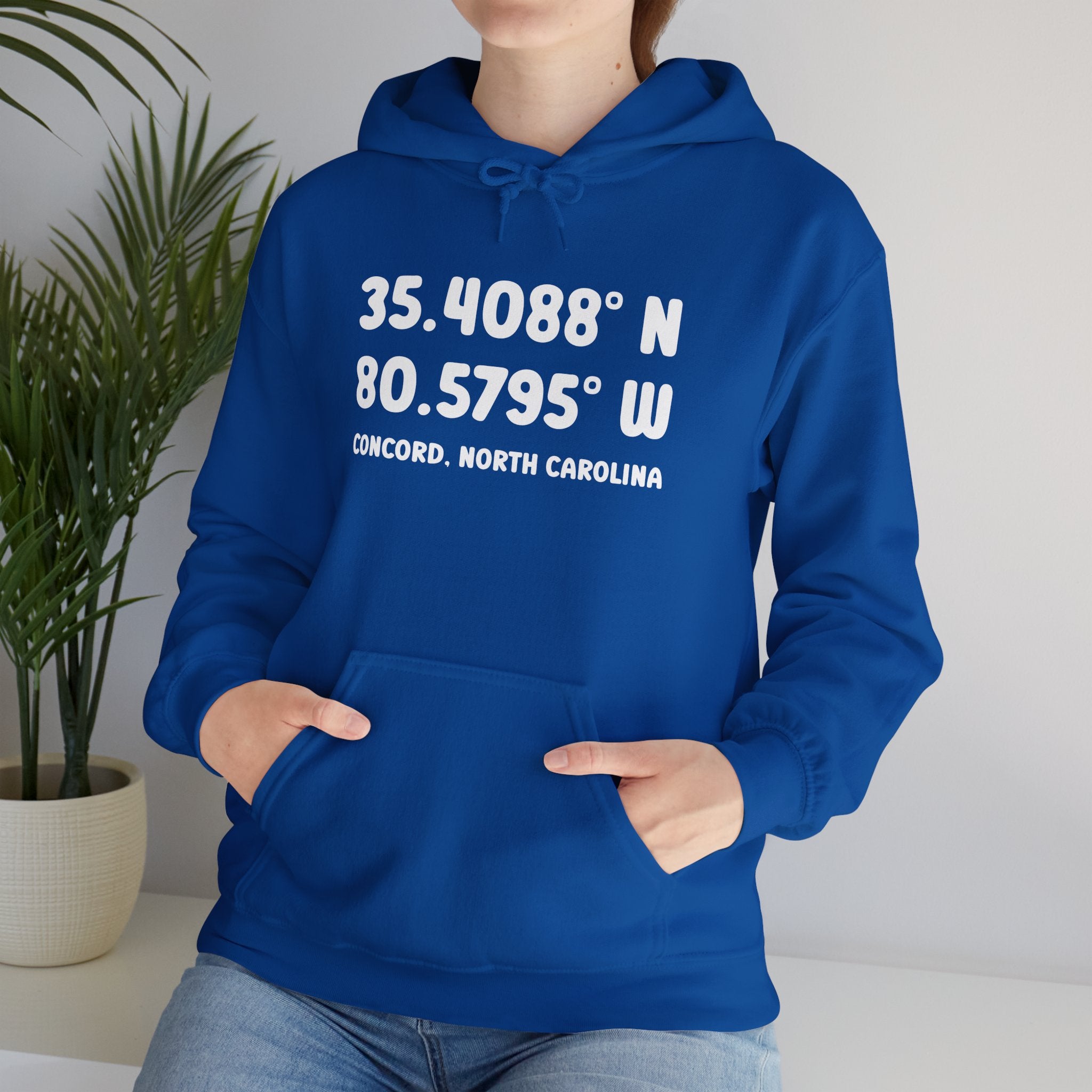 Concord North Carolina NC Coordinance Hoodie