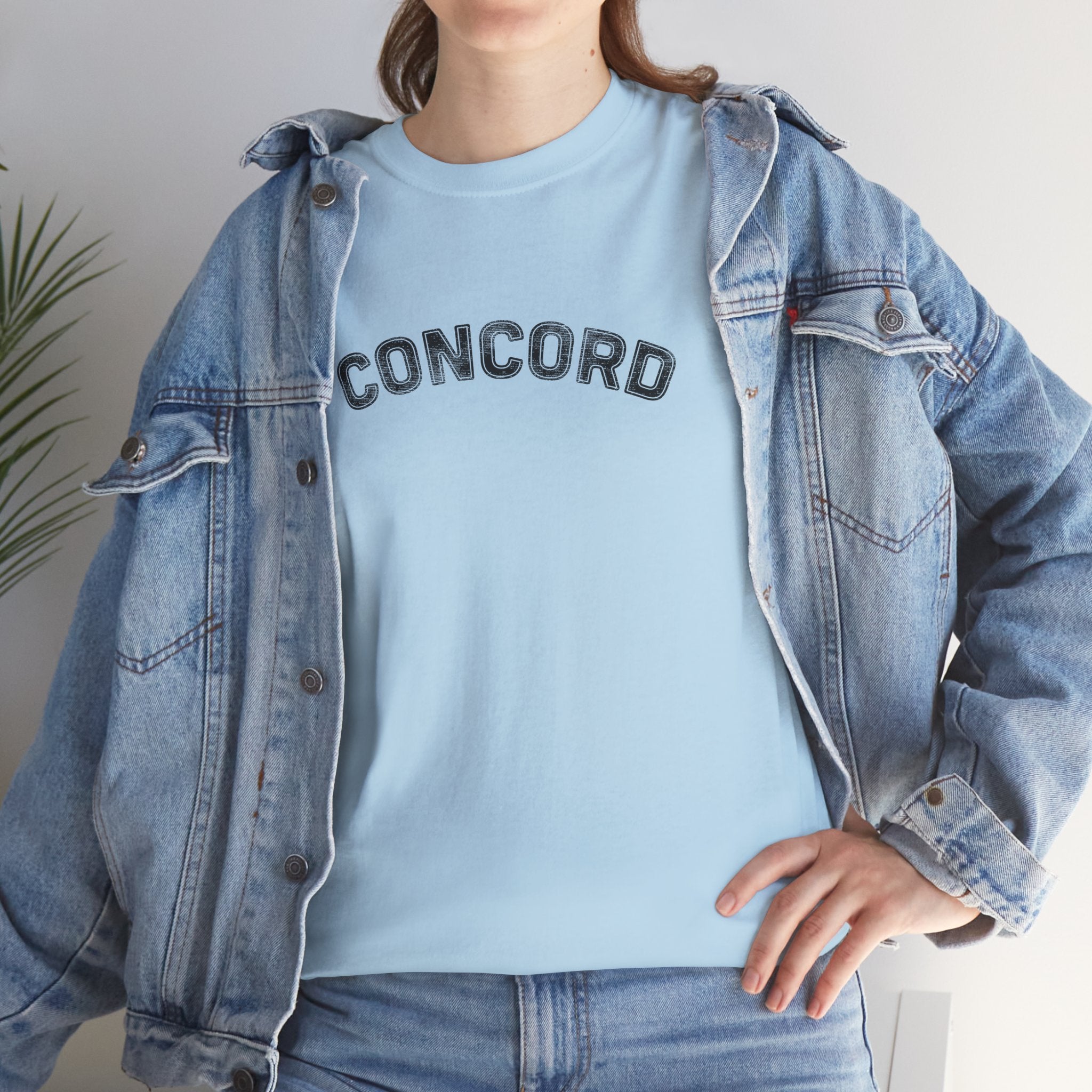 Concord North Carolina NC Curved Unisex T-Shirt