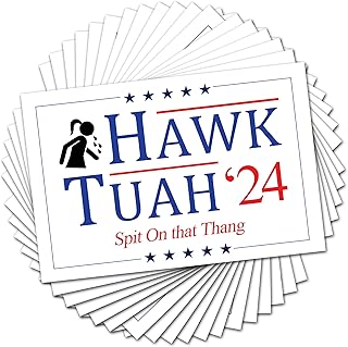 100PCS Hawk Tuah Stickers,Hawk Tuah Spit on That Thang 2024,Parody Bumper Sticker,Laptop Bumper Decal Window Waterproof Stickers for Cars, Trucks, Laptops (Color A 100pc)