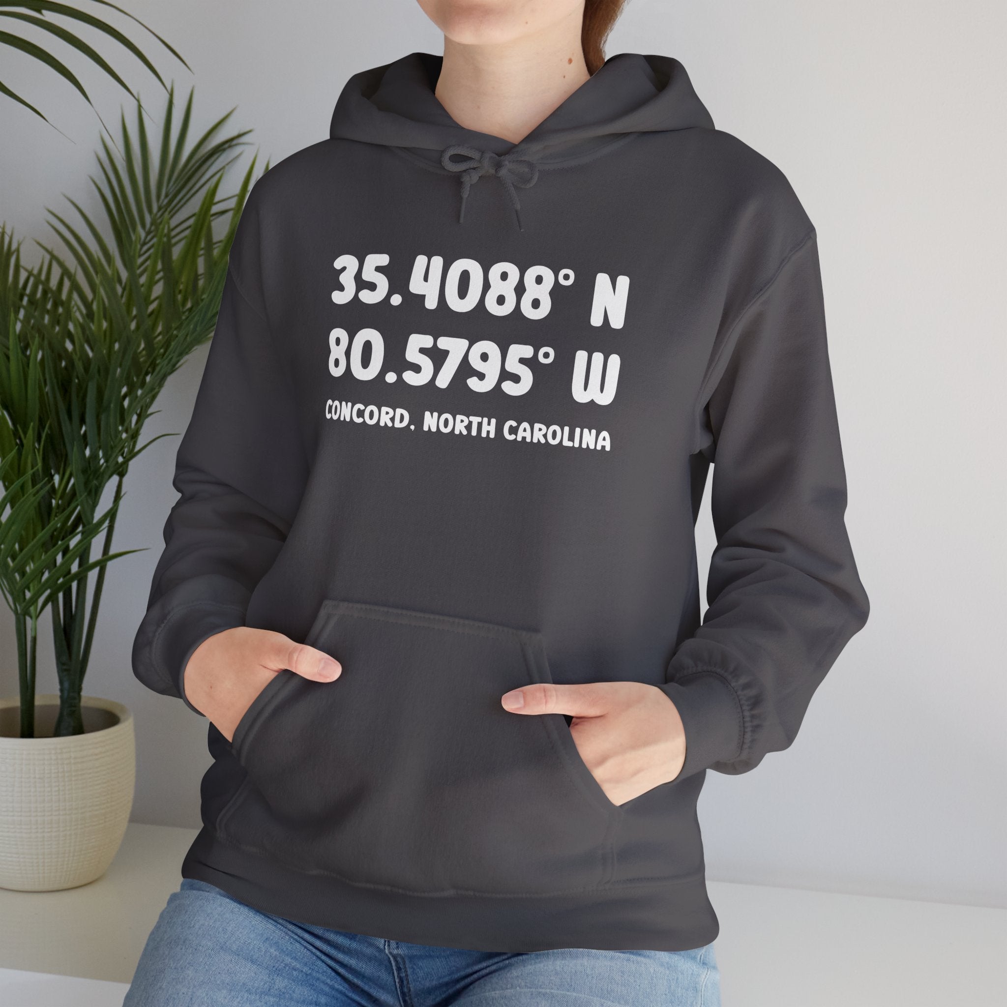 Concord North Carolina NC Coordinance Hoodie