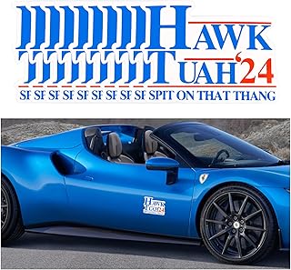 10PCS Hawk Tuah Stickers Funny Car Stickers,Hawk Tuah Spit on That Thang Stickers for Car Window Stickers&Bumper Stickers,Popular Funny Car Accessories Fit Most Car