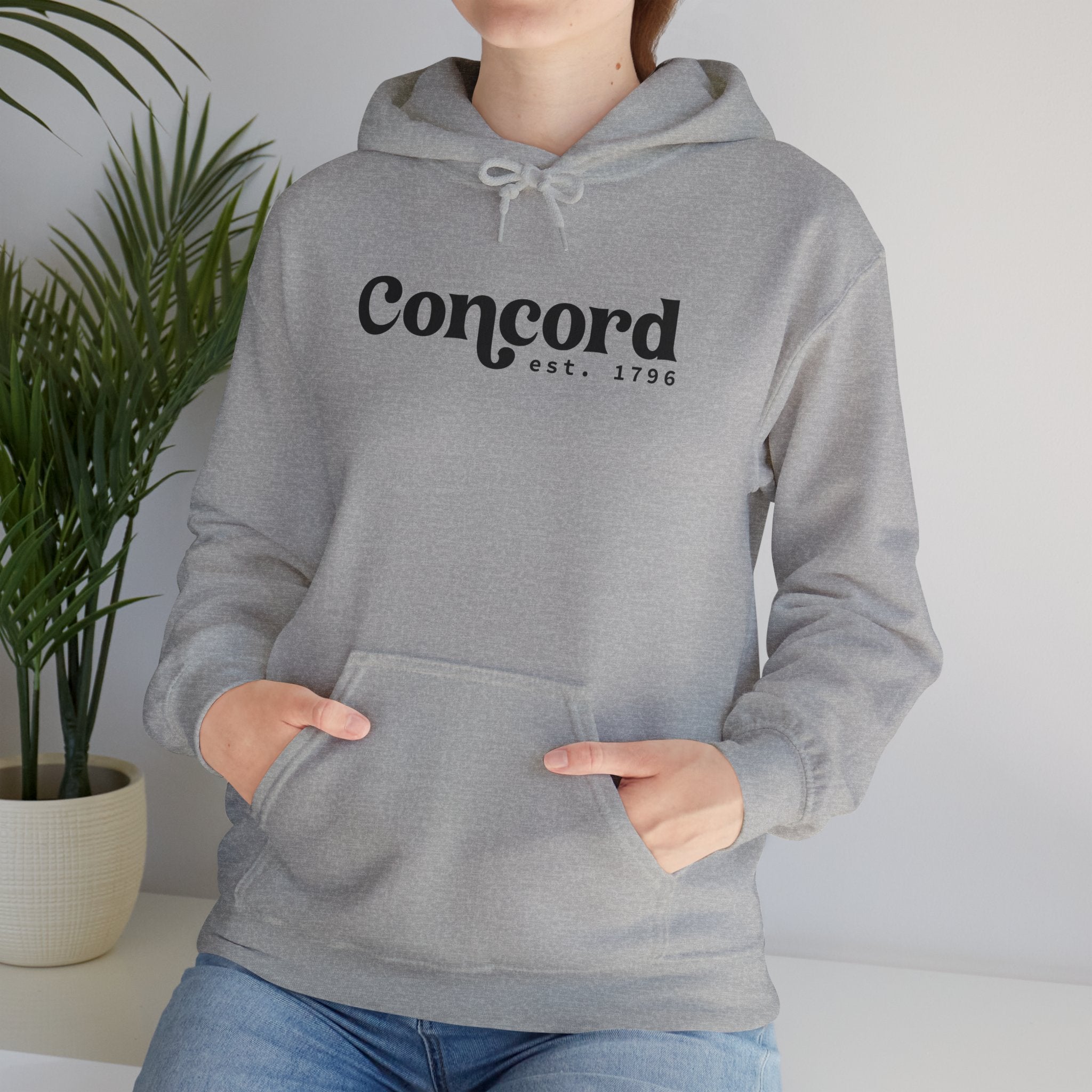 Concord North Carolina NC Est. 1796 Hoodie