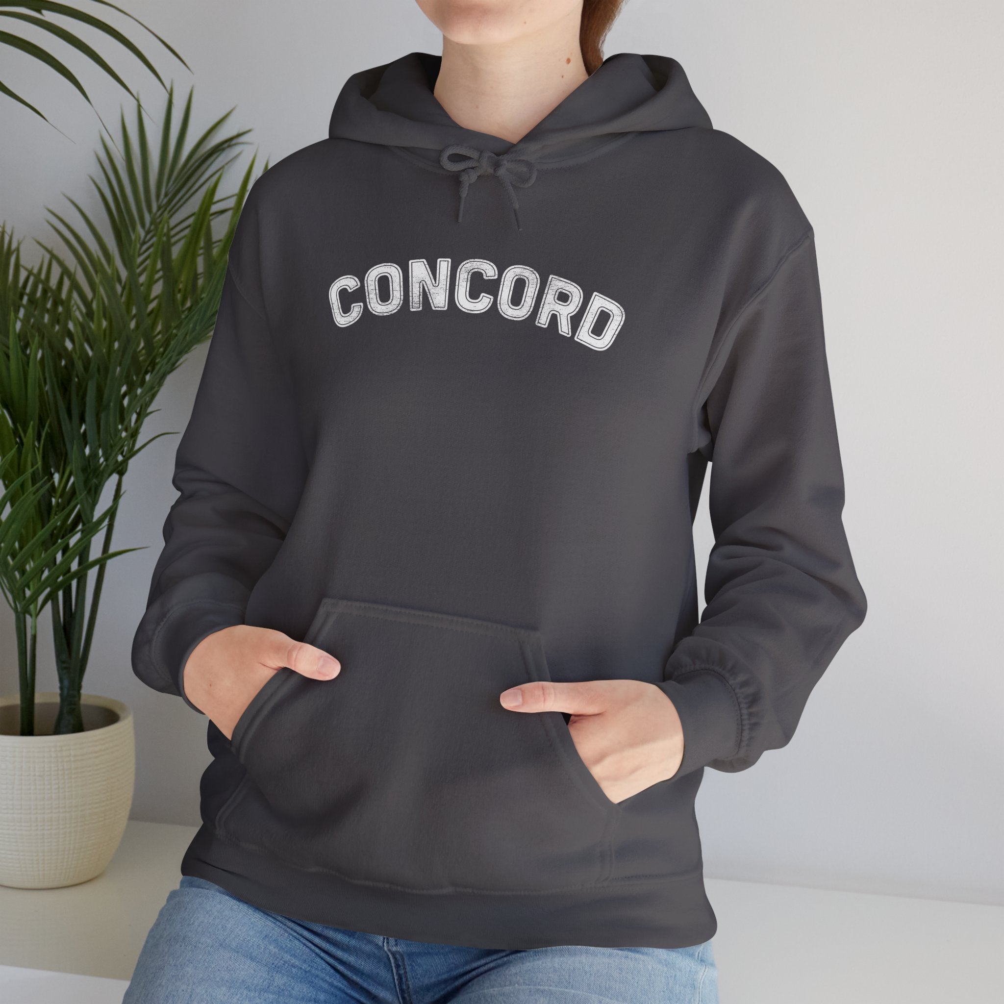 Concord North Carolina NC Curved Font Hoodie