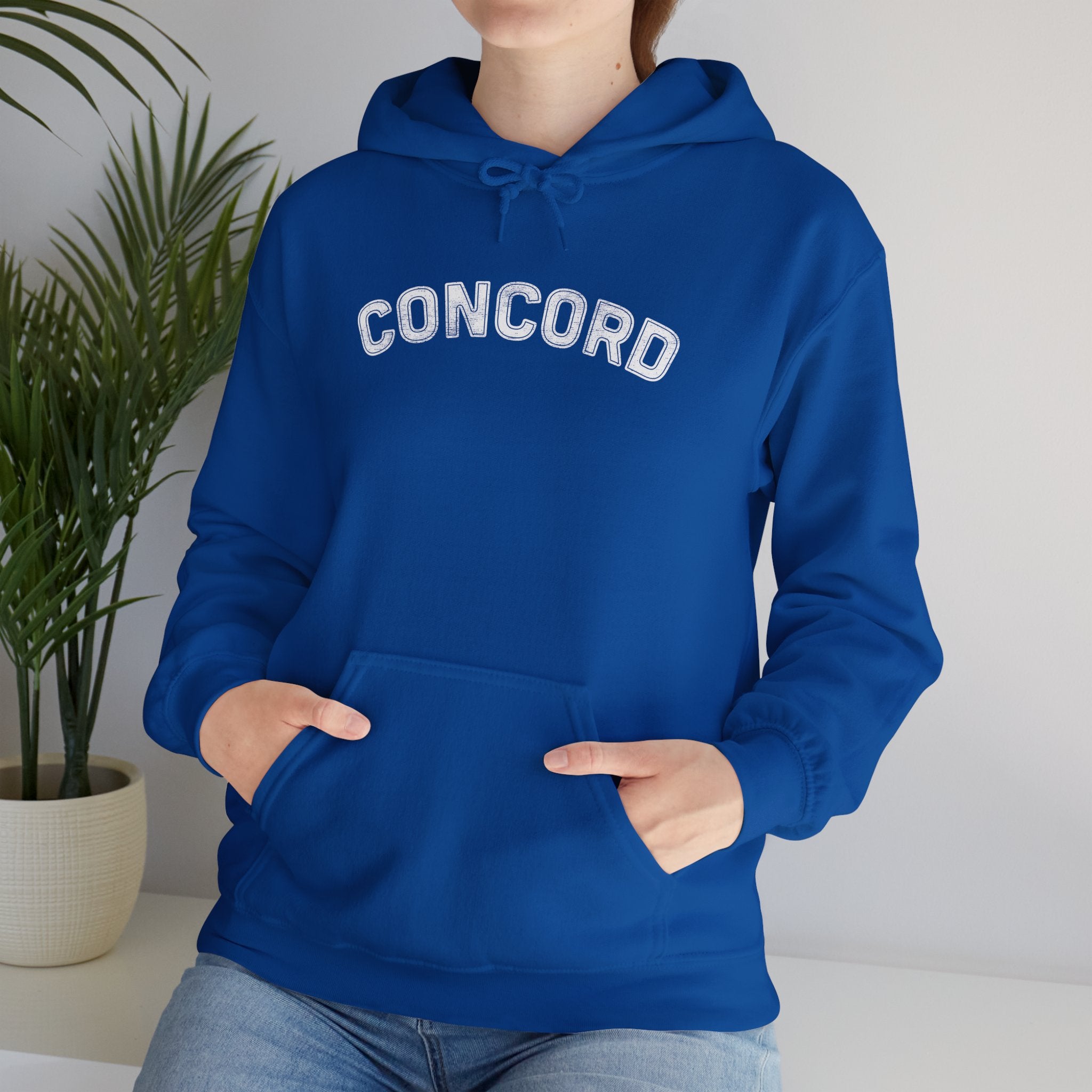 Concord North Carolina NC Curved Font Hoodie