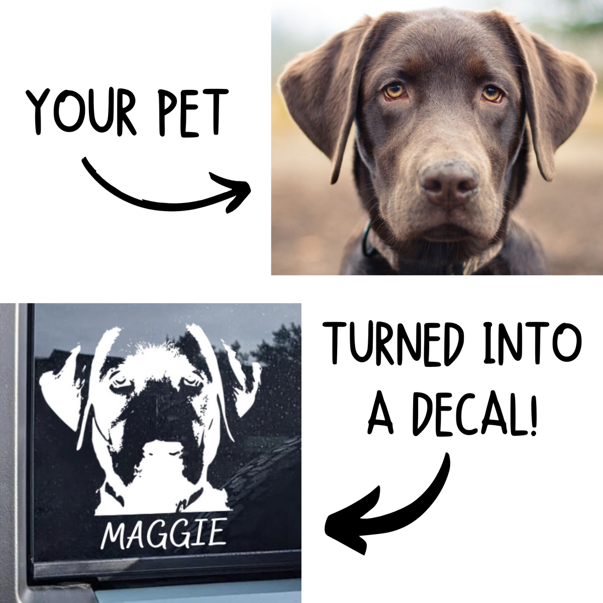 Custom Pet Dog Cat Car Bumper Truck Window Decal