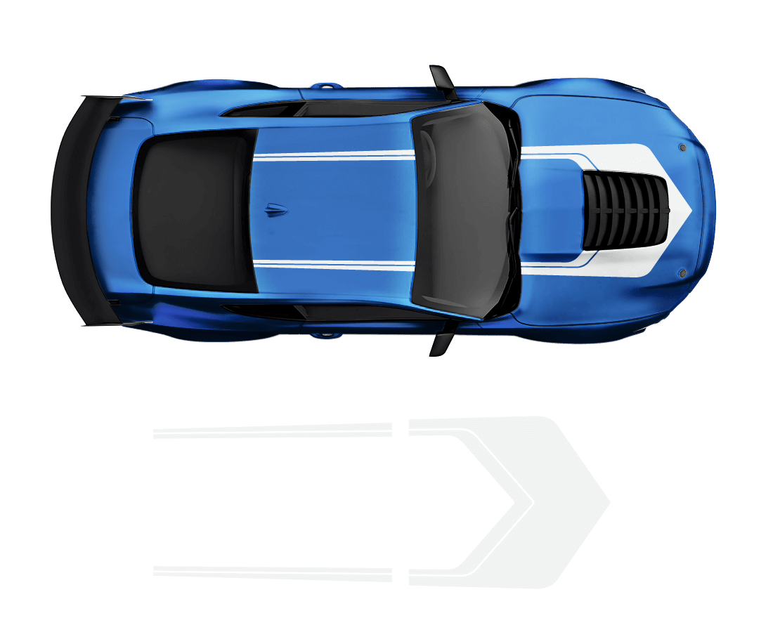 Ford Mustang Roof & Hood 2 Color Graphic