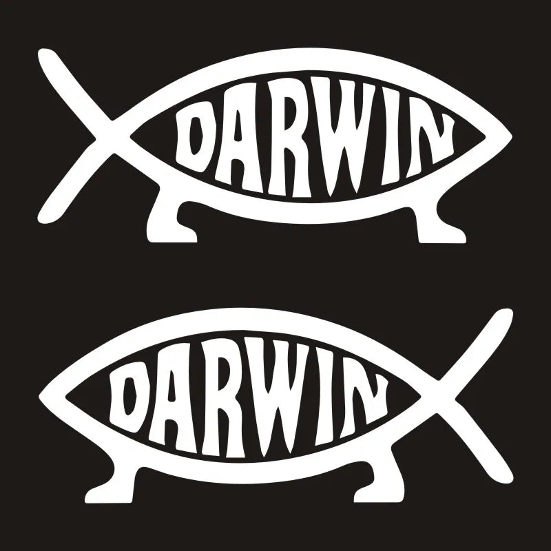 Darwin Fish Cartoon Vinyl Stickers - 5.35