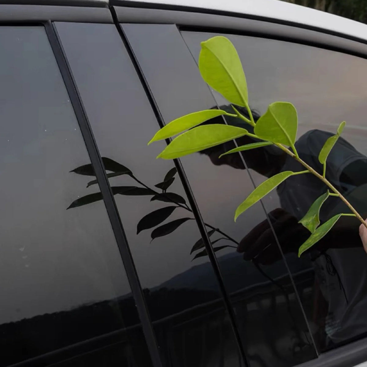 Glossy Black / Carbon Pillar Post for BYD Seagull / Dolphin Mini EV (2023–2025) | 4-Piece Trim