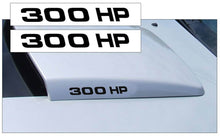 Load image into Gallery viewer, 2005-09 Mustang Hood Scoop Decal Set - 300 HP Name