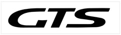 1997 Ford Probe GTS Door Decal
