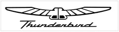 Ford Thunderbird Name and Bird Decal - 7.25" x 36"